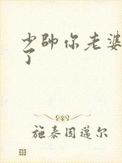 少帅你老婆又跑了封面
