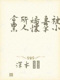 会所娇妻被多个黑人怀孕小说封面