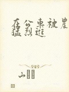 在公车被农民工猛烈进