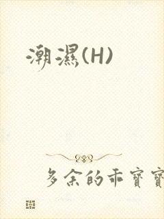 潮湿(H)