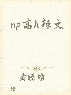 np高h辣文