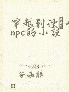 穿越到湮婸世界npc的小说