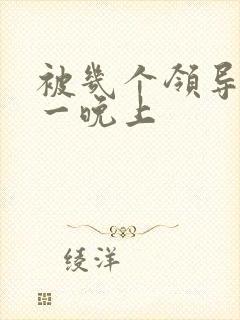 被几个领导玩弄一晚上