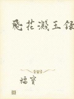 飞花溅玉录封面