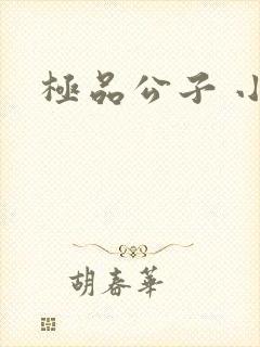 极品公子 小说
