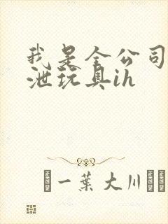 我是全公司的发泄玩具ih