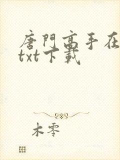 唐门高手在异世txt下载