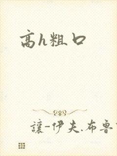 高h粗口