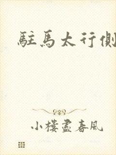 驻马太行侧