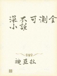 深不可测金银花小说