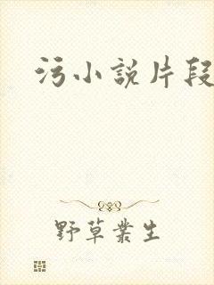 污小说片段封面