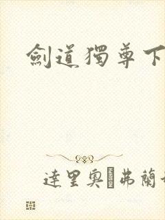 剑道独尊下载