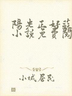 阳光正好苏玥玥小说免费阅读封面