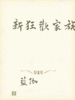 新狂欢家族小说
