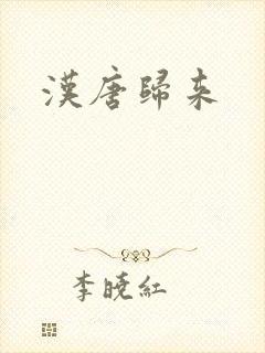 汉唐归来