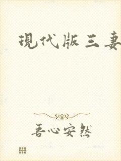 现代版三妻四妾封面