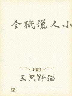 全职猎人小说