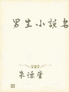 男生小说名字