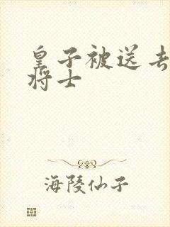 皇子被送去犒劳将士