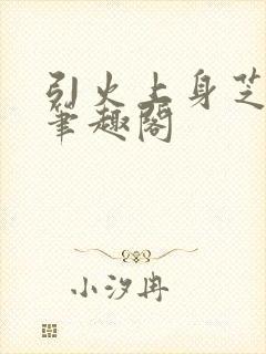 引火上身芝麻糖笔趣阁