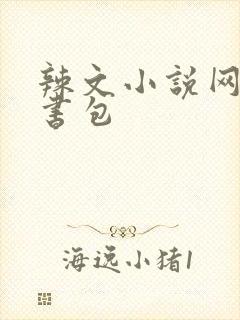 辣文小说网第二书包