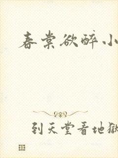 春棠欲醉小说