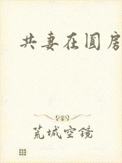 共妻在圆房3p