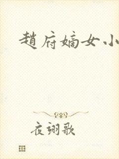 赵府嫡女小说封面