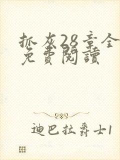 抓灰28章全部免费阅读封面