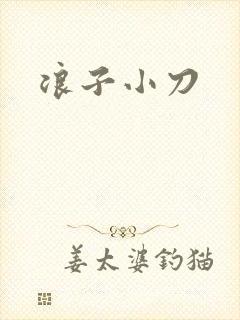 浪子小刀