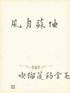 风月苏他封面