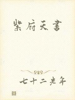 紫府天书