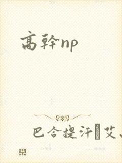 高干np