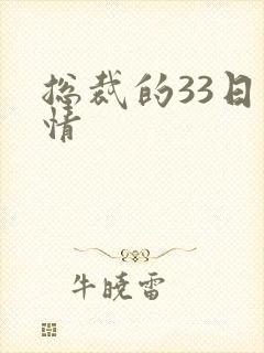 总裁的33日索情