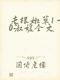 老根嫩草1一40淑媛全文封面