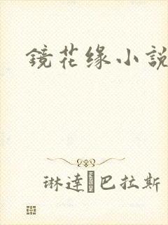 镜花缘小说