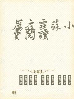 厉夜霆苏小汐免费阅读