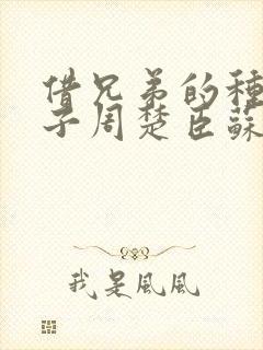 借兄弟的种生孩子周楚臣苏糖