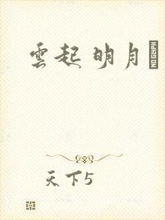 云起 明月珰封面