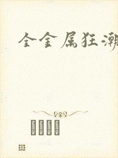 全金属狂潮小说