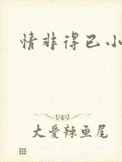情非得已小说封面