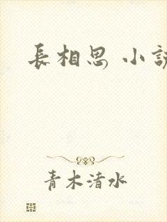 长相思 小说