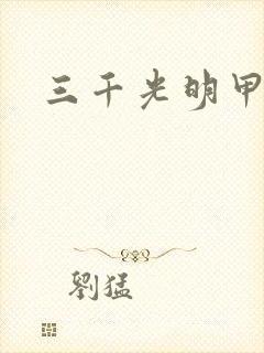三千光明甲