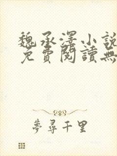 魏承泽小说全文免费阅读无弹窗笔趣封面