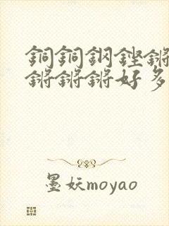 铜铜钢铿锵锵锵锵锵锵好多少阅读封面