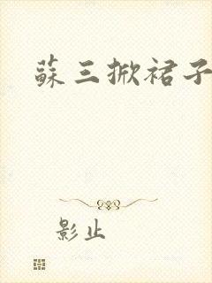 苏三掀裙子封面