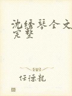 沈绣琴全文阅读完整封面