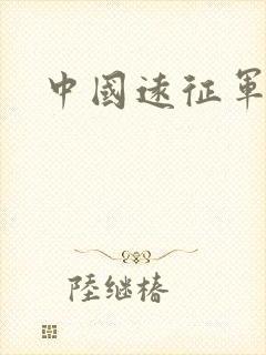 中国远征军小说