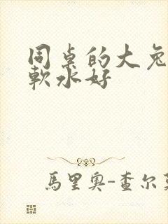 同桌的大兔子好软水好