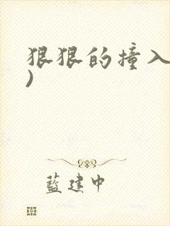 狠狠的撞入(h)
